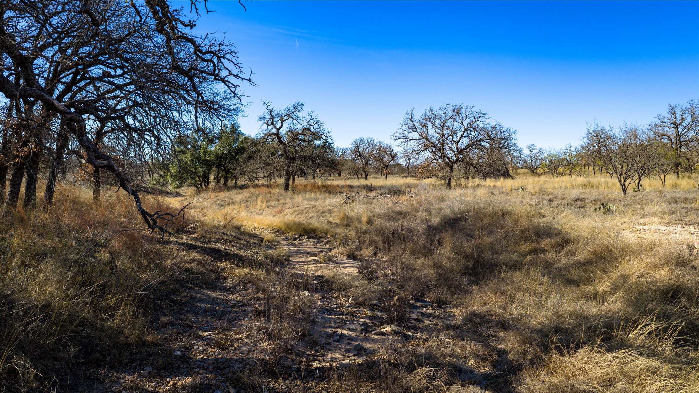 126 Buffalo Rd Valley Spring Valley Spring, TX 76885 - Photo 25 of 39 View of local wilderness with rural landscape