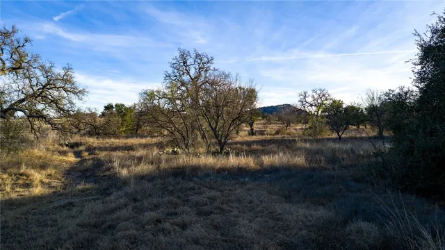 a view of a dry yard with wooden fence