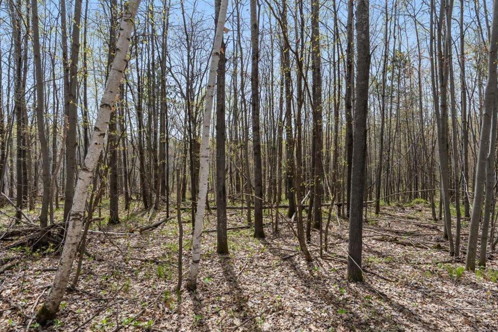 9382 County Road 8 Brainerd, MN 56401 - Photo 98 of 108