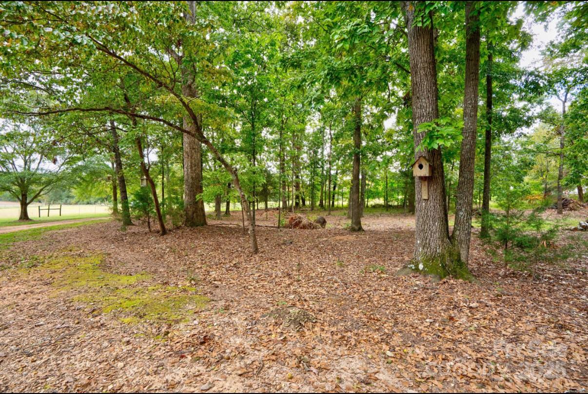 2026 Rehobeth Church Road Shelby, NC 28150 - Photo 17 of 48 a view of outdoor space with trees
