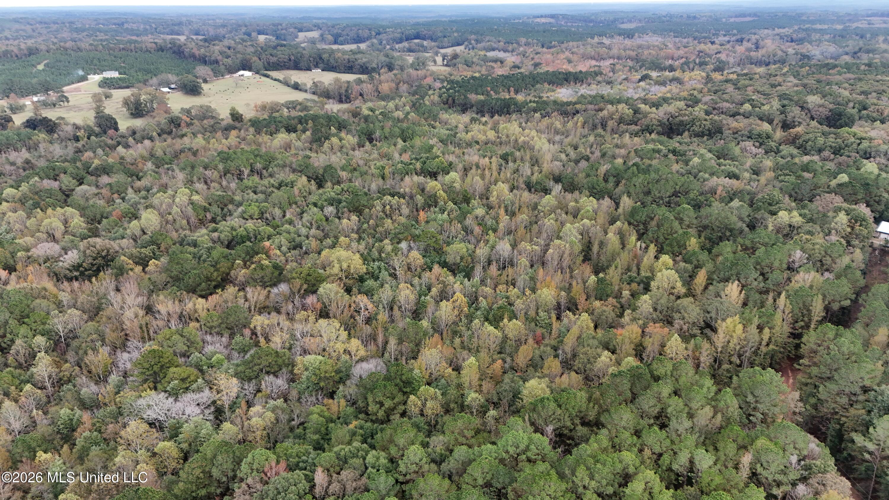 Remus Road Carthage, MS 39051 - Photo 2 of 2 DJI_20251101162505_0045_D
