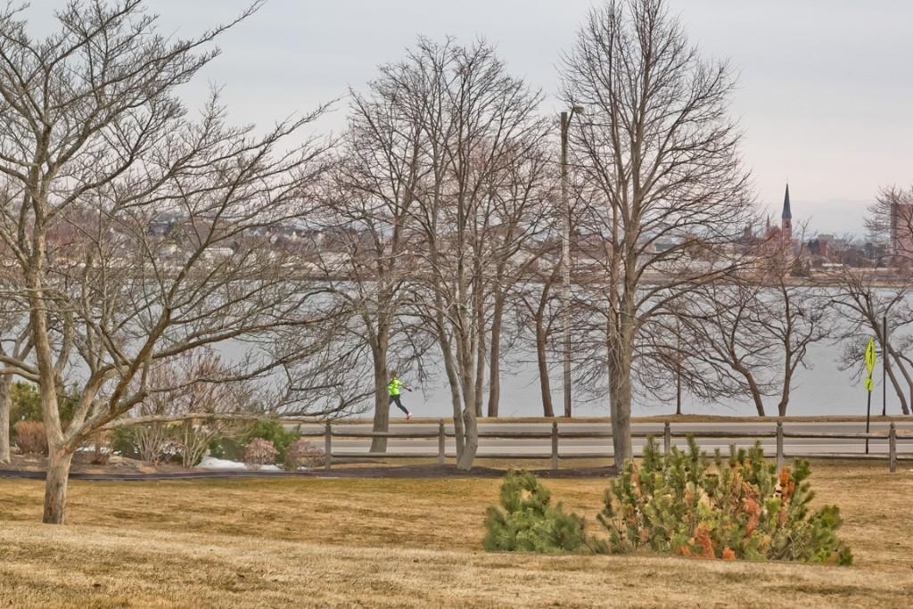 46 Brookside Road Portland, ME 04103 - Photo 31 of 32 Photo