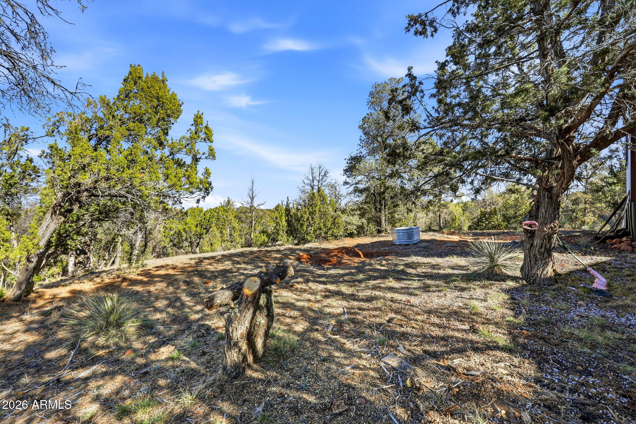 3580 Power Line Road Overgaard, AZ 85933 - Photo 23 of 36 3580PowerlineRd-HeberOvergaardAZ-23