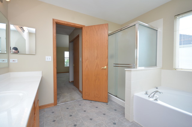 433 Butterfly Road Bolingbrook, IL 60490 - Photo 13 of 23