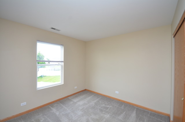 433 Butterfly Road Bolingbrook, IL 60490 - Photo 19 of 23