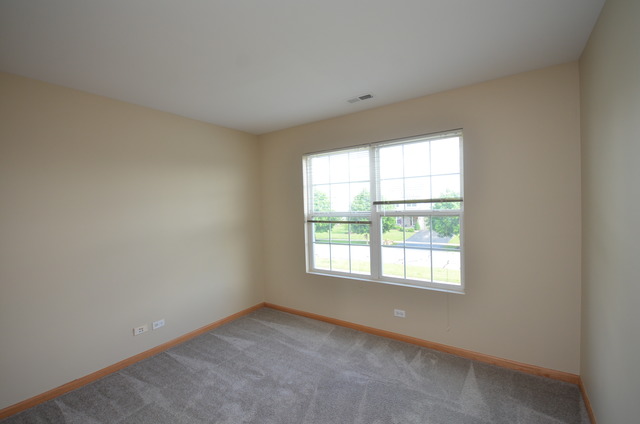 433 Butterfly Road Bolingbrook, IL 60490 - Photo 20 of 23