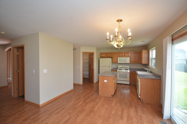 433 Butterfly Road Bolingbrook, IL 60490 - Photo 5 of 23