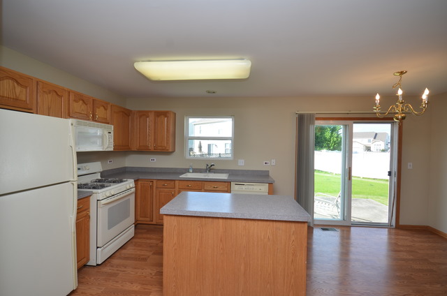 433 Butterfly Road Bolingbrook, IL 60490 - Photo 6 of 23