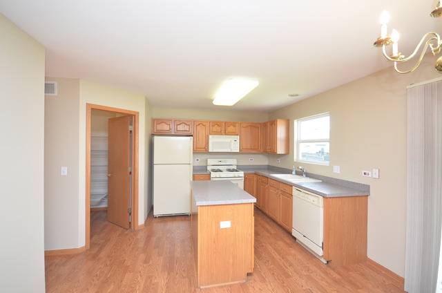 433 Butterfly Road Bolingbrook, IL 60490 - Photo 7 of 23