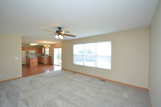 433 Butterfly Road Bolingbrook, IL 60490 - Photo 9 of 23