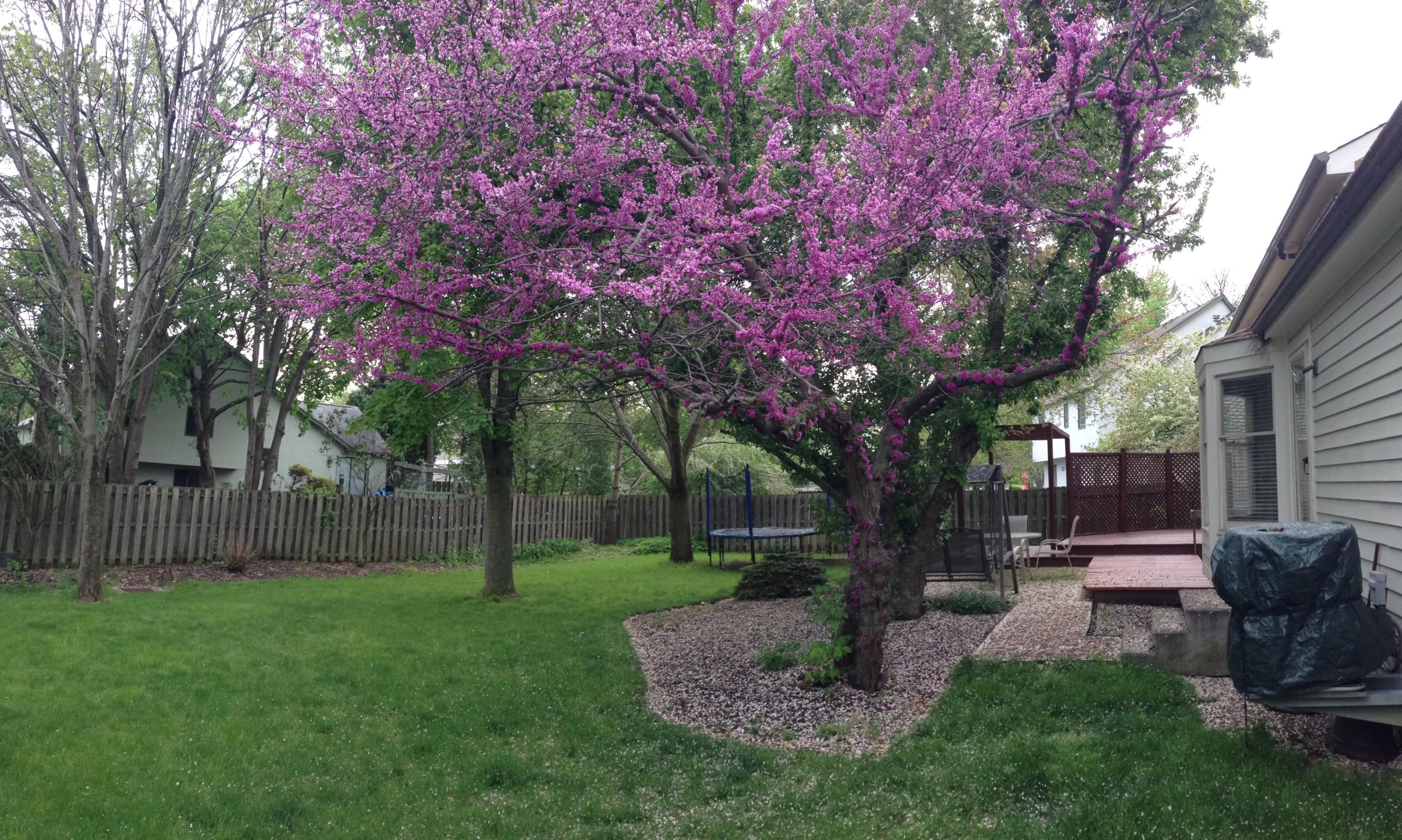 5353 Roscommon Road Dublin, OH 43017 - Photo 43 of 48 Gallery Image 43