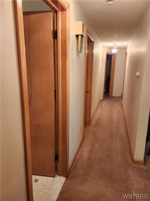 3003 Angle Road Orchard Park, NY 14127 - Photo 16 of 47