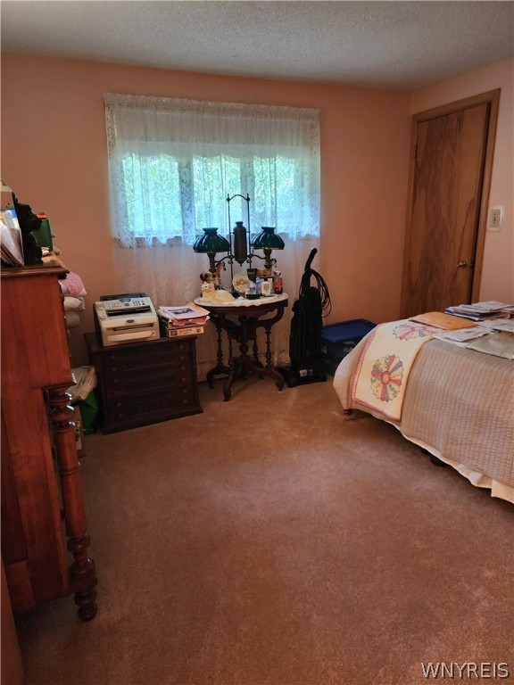 3003 Angle Road Orchard Park, NY 14127 - Photo 17 of 47