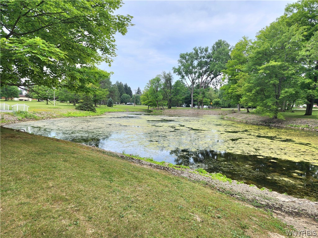 3003 Angle Road Orchard Park, NY 14127 - Photo 41 of 47