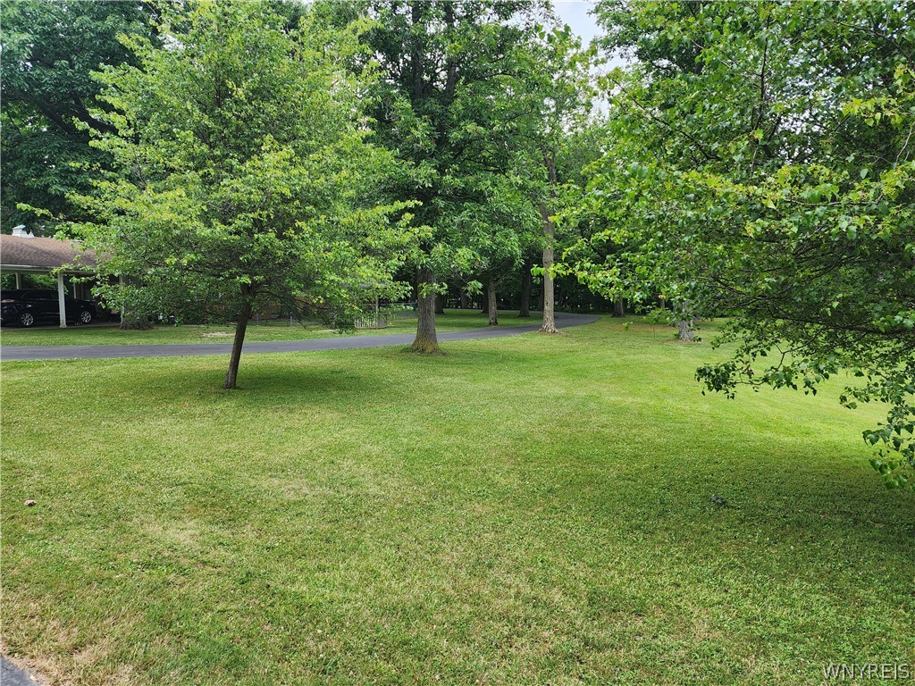 3003 Angle Road Orchard Park, NY 14127 - Photo 45 of 47