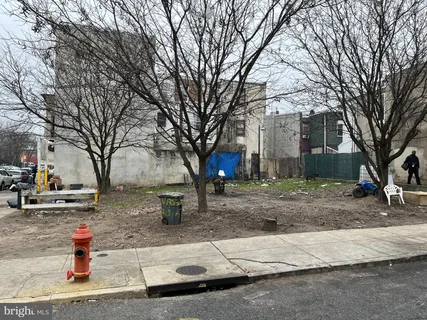 a view of a trees in front of a house