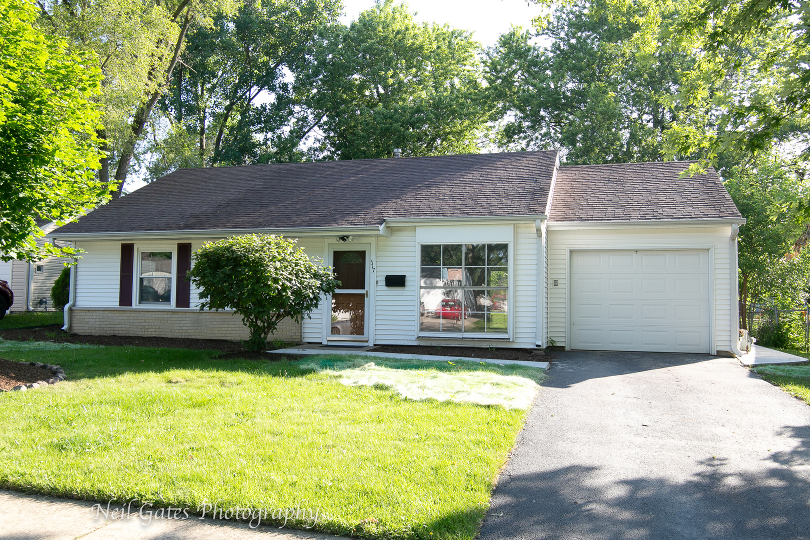 517 Country Lane Streamwood, IL 60107 - Photo 1 of 23