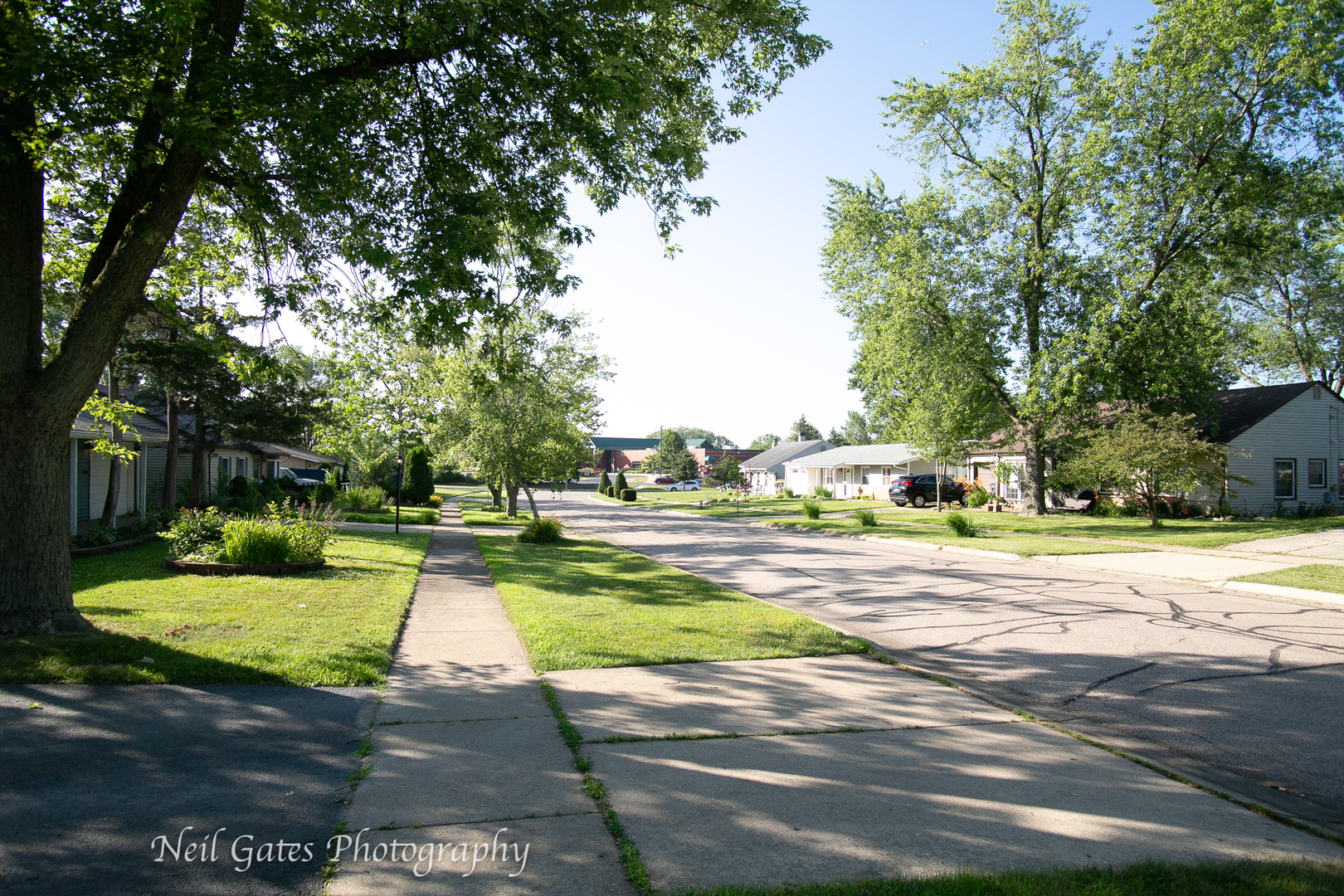 517 Country Lane Streamwood, IL 60107 - Photo 23 of 23