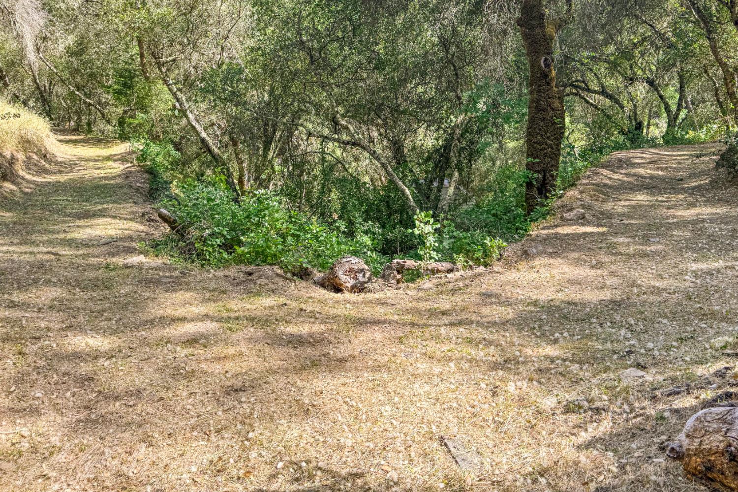 6060 Terras Path Placerville, CA 95667 - Photo 38 of 40 Golf Cart Path To Private Consumes River Swim Hole