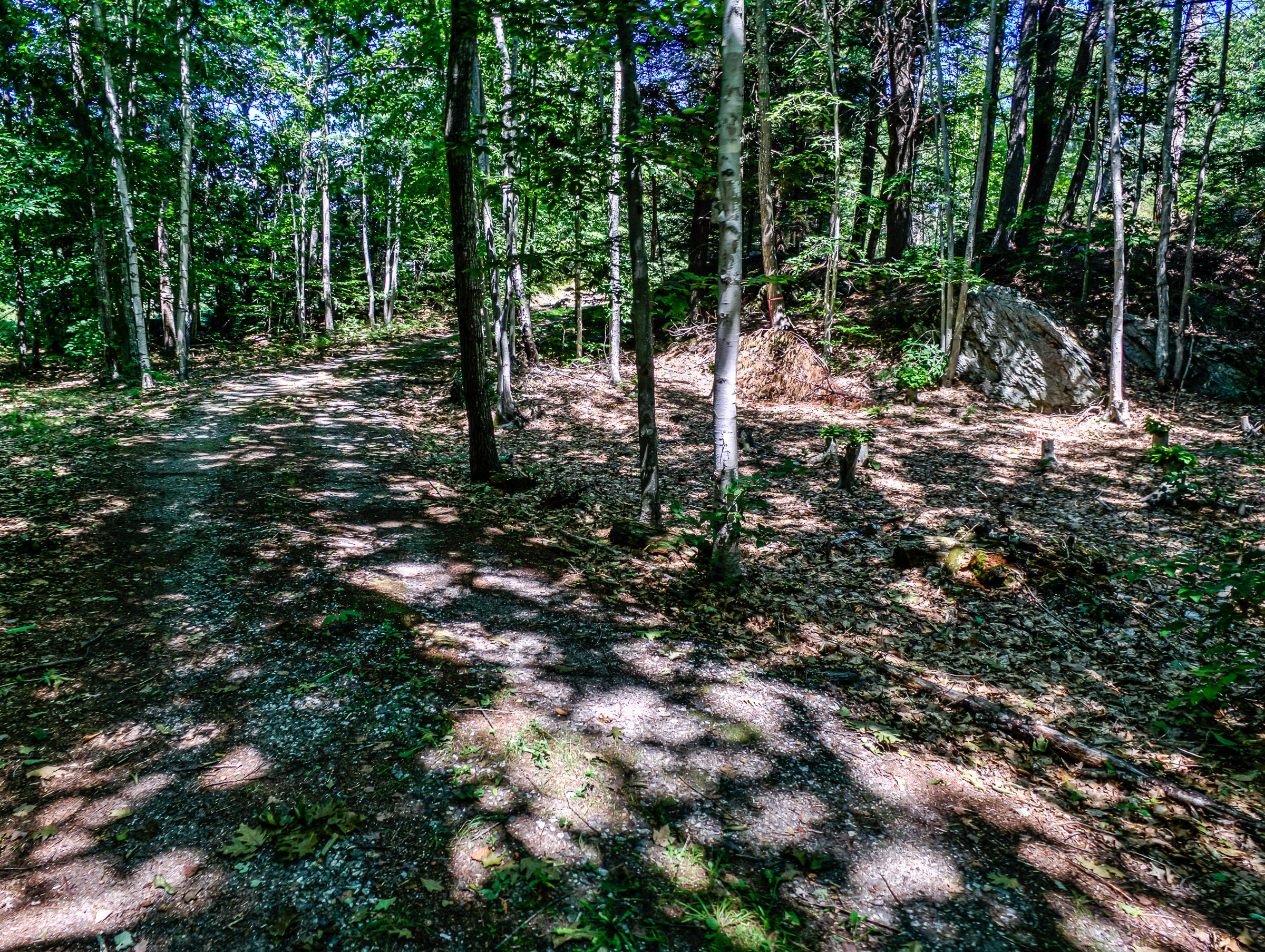 42 West Chops Point Road Bath, ME 04530 - Photo 7 of 32 108080-ae-19