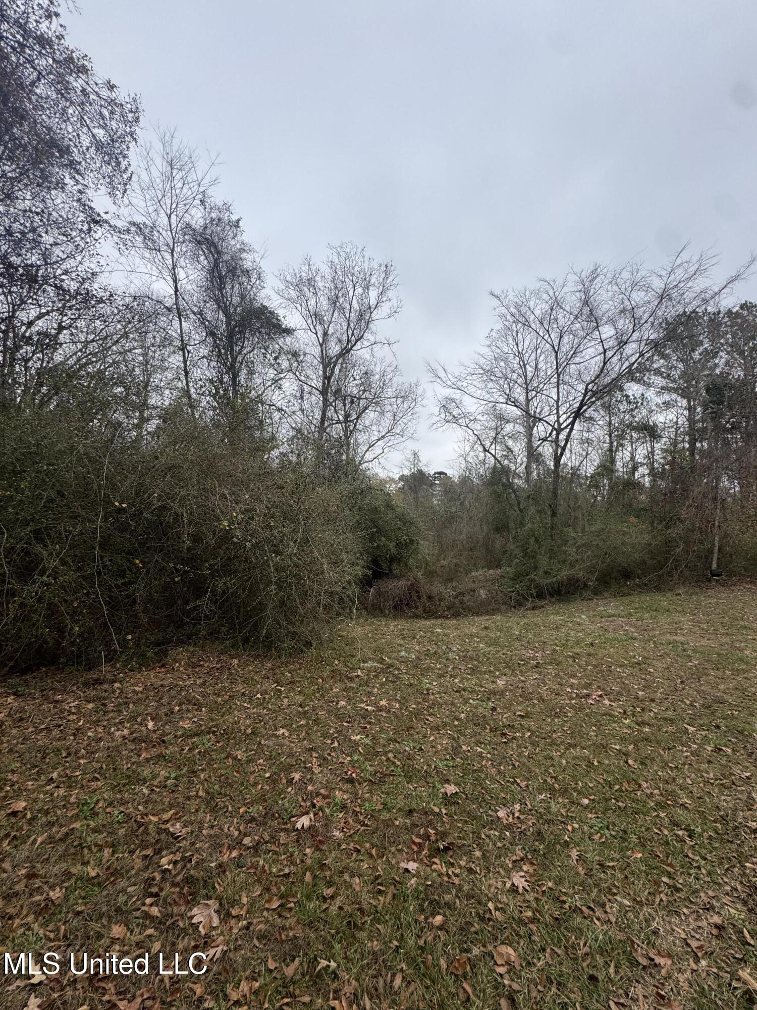 0 Low Water Bridge Road Brookhaven, MS 39601 - Photo 4 of 6 IMG_0302
