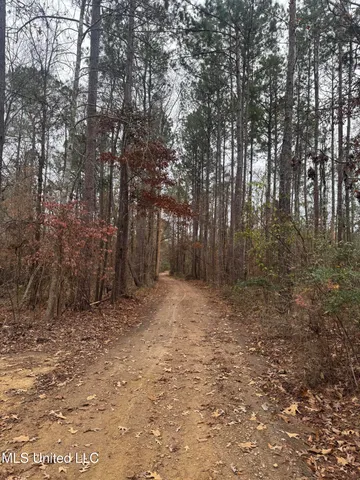 $543,000 | 0 Low Water Bridge Road, Brookhaven, MS 39601