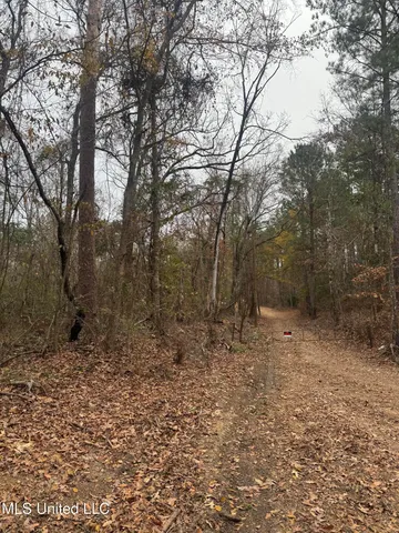 $543,000 | 0 Low Water Bridge Road, Brookhaven, MS 39601