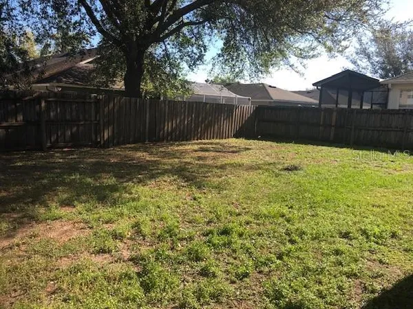 a view of a backyard with a tree