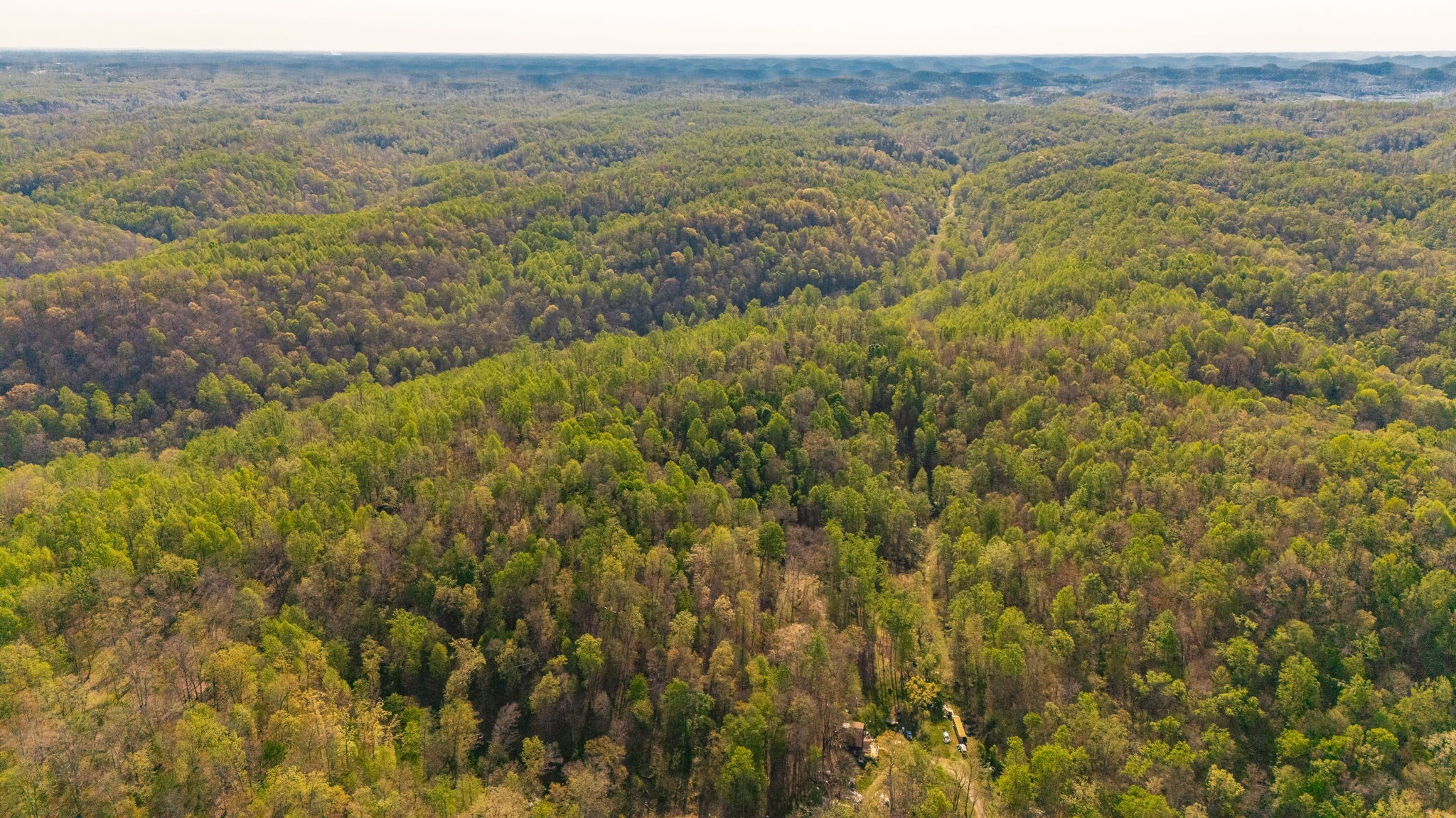 600 Leath Chapel Road Bethpage, TN 37022 - Photo 6 of 13