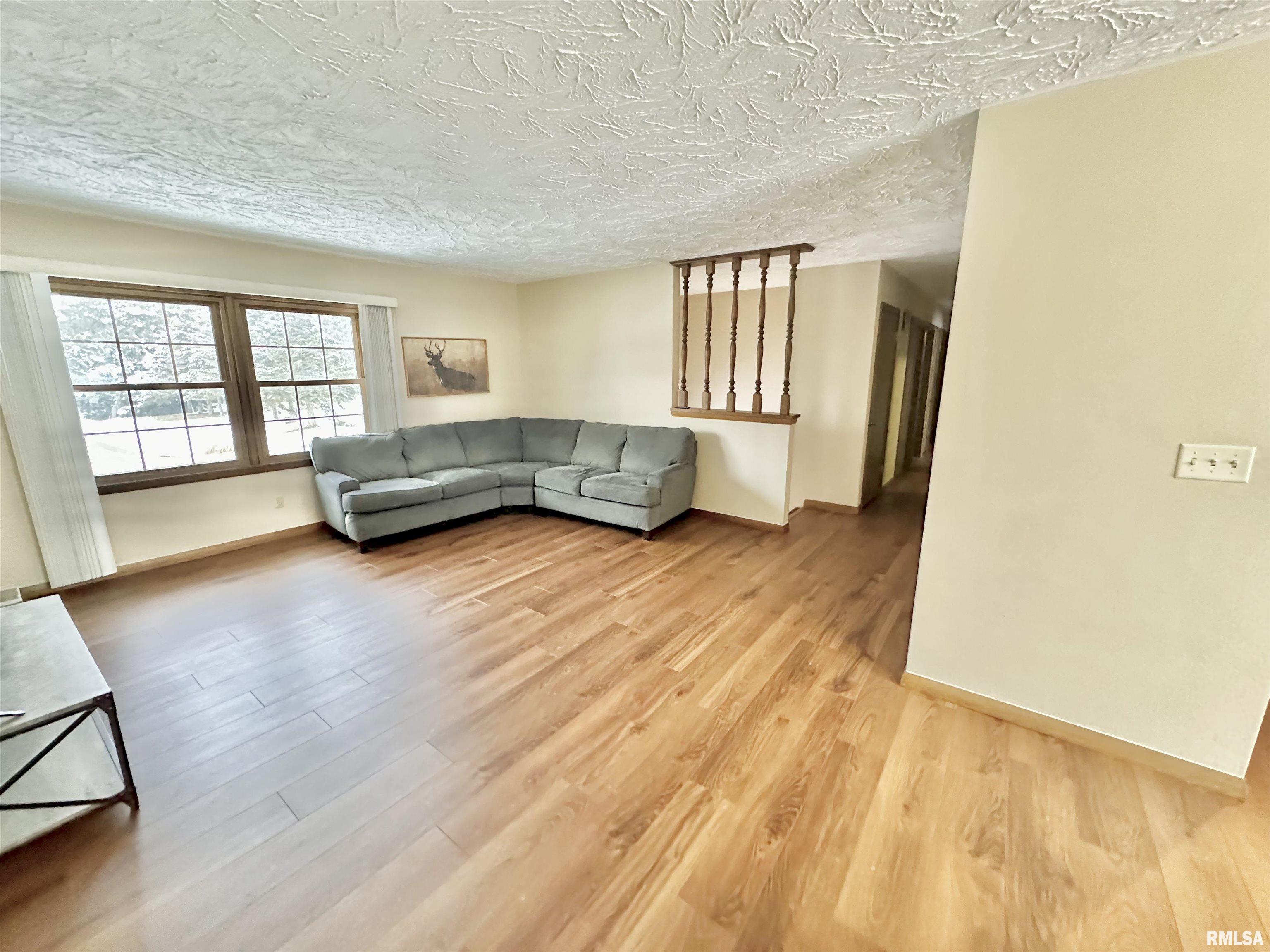 306 Marlane Drive Alpha, IL 61413 - Photo 11 of 34 Gallery Image 11