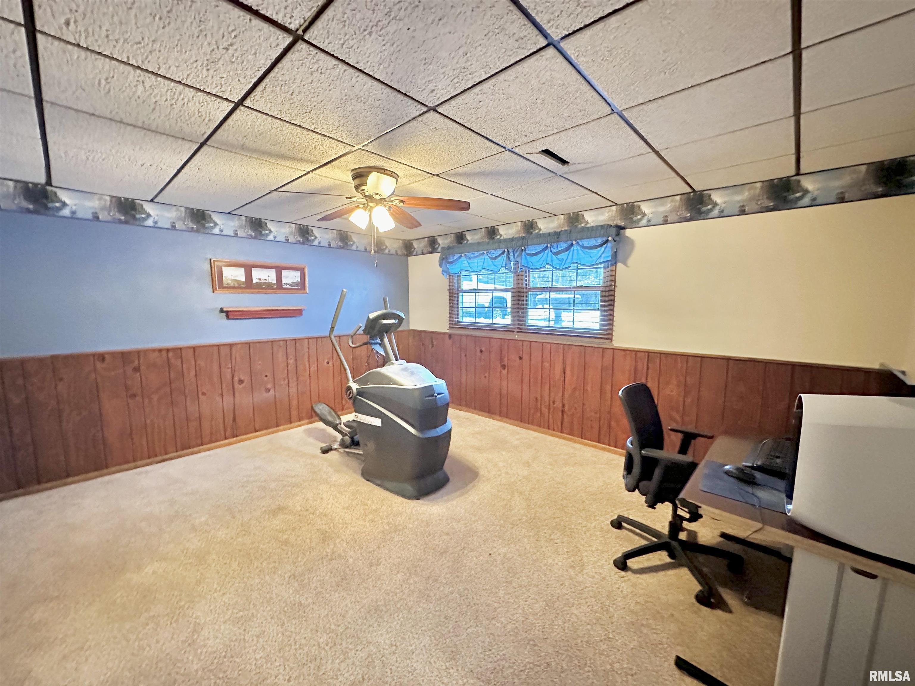 306 Marlane Drive Alpha, IL 61413 - Photo 21 of 34 Gallery Image 21