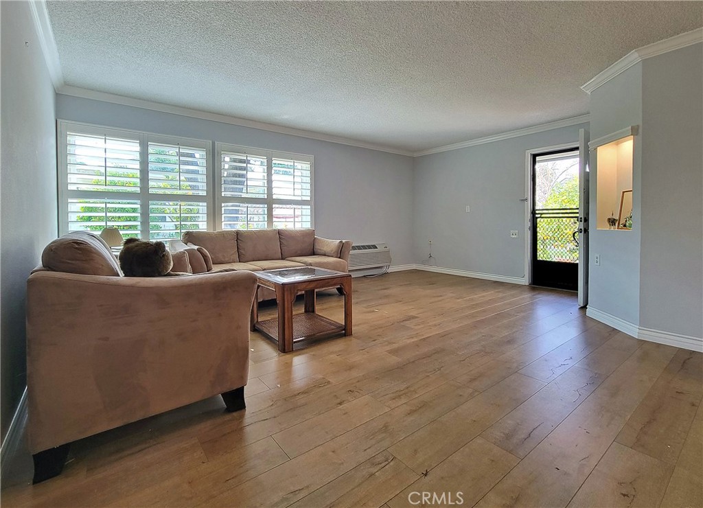 2082 Ronda Granada, Unit D Laguna Woods, CA 92637 - Photo 17 of 36 a living room with furniture and a potted plant