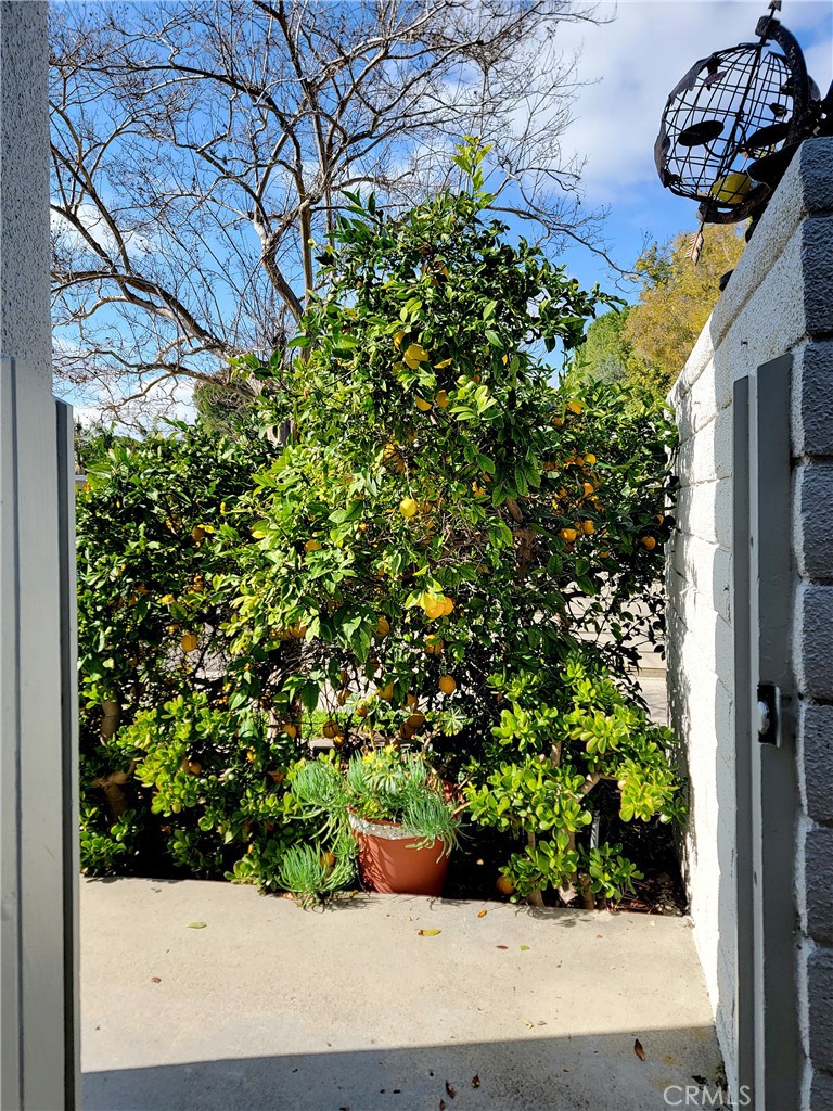 2082 Ronda Granada, Unit D Laguna Woods, CA 92637 - Photo 33 of 36 a view of a outdoor space in a garden