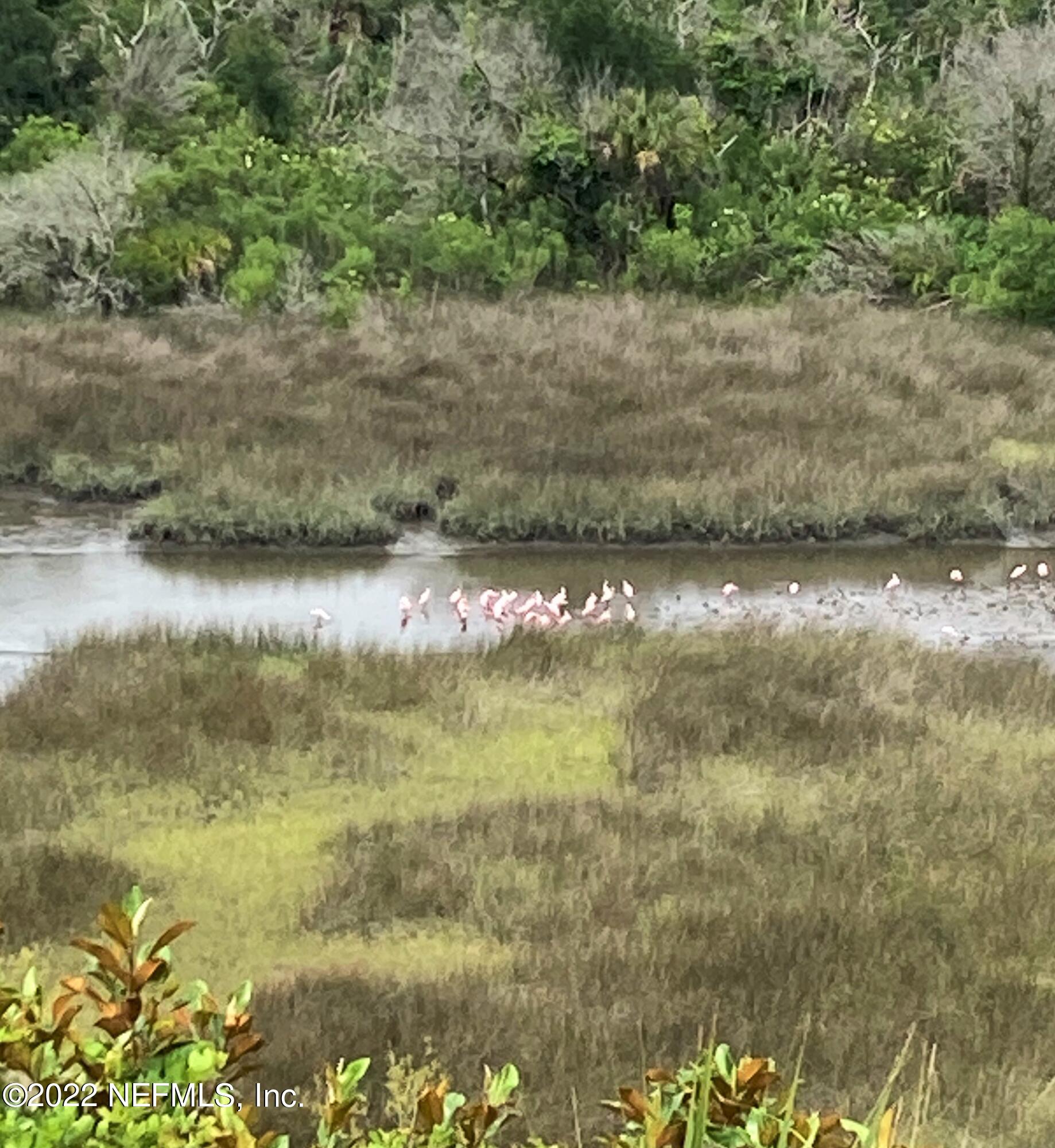 13263 Fort Caroline Road Jacksonville, FL 32225 - Photo 61 of 64 a view of a lake