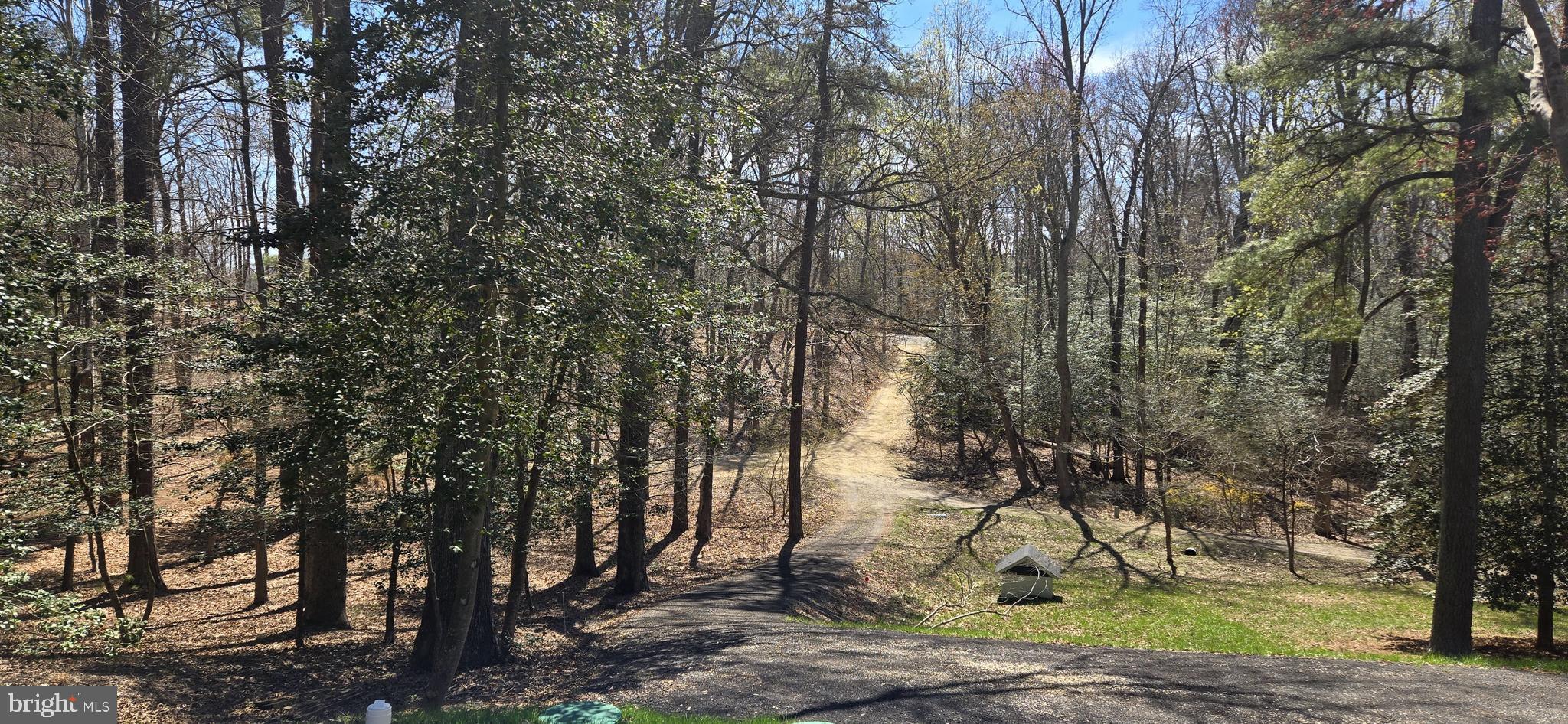 43732 Raspberry Lane Hollywood, MD 20636 - Photo 54 of 63 Gallery Image 54