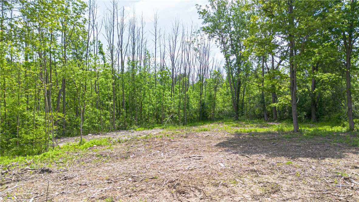 Whitney Road East Perinton, NY 14450 - Photo 4 of 6