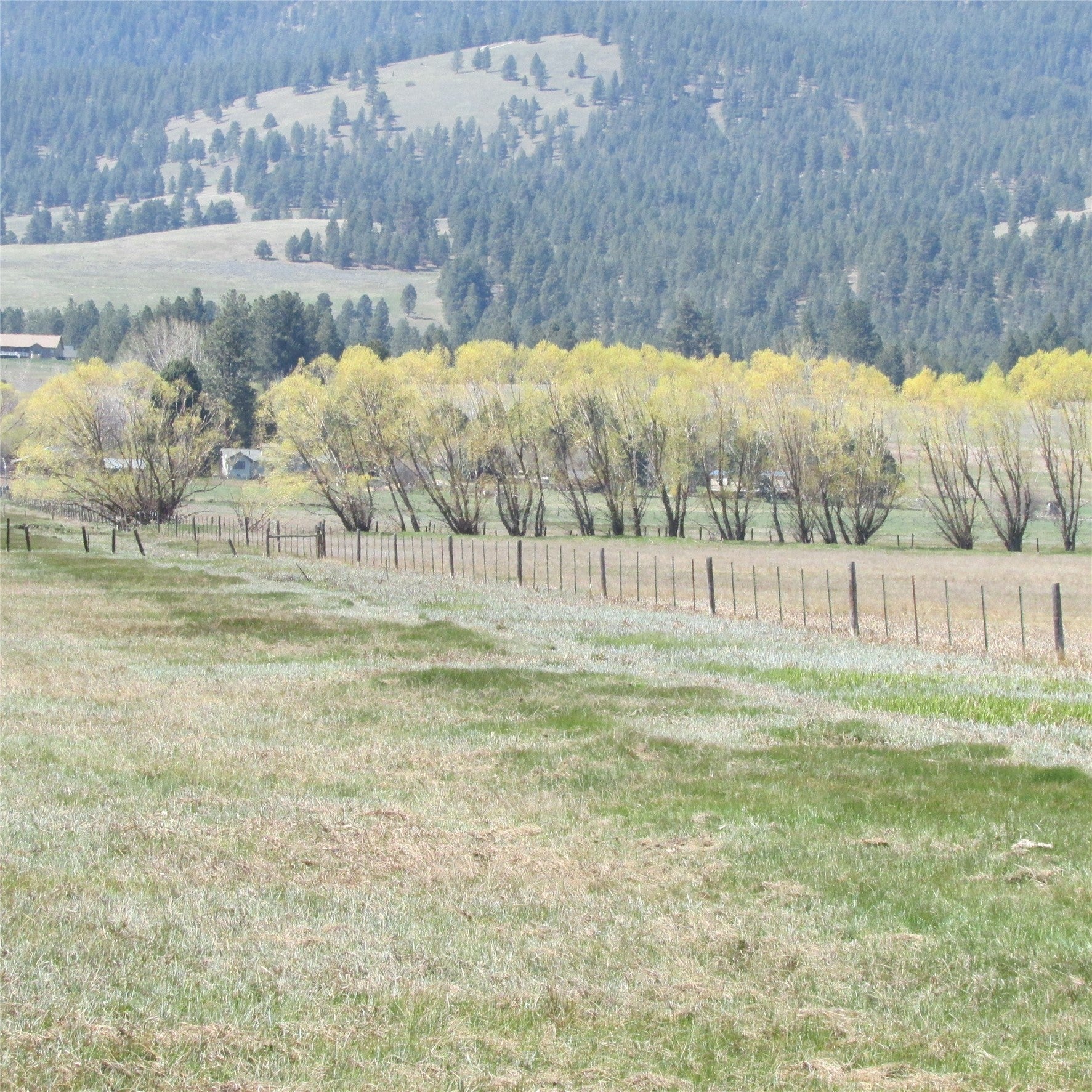 Nhn Meridian Road Victor, MT 59875 - Photo 18 of 24 Gallery Image 18