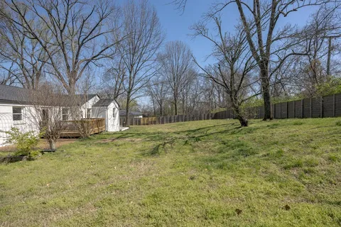 a view of a yard with a house and a large tree