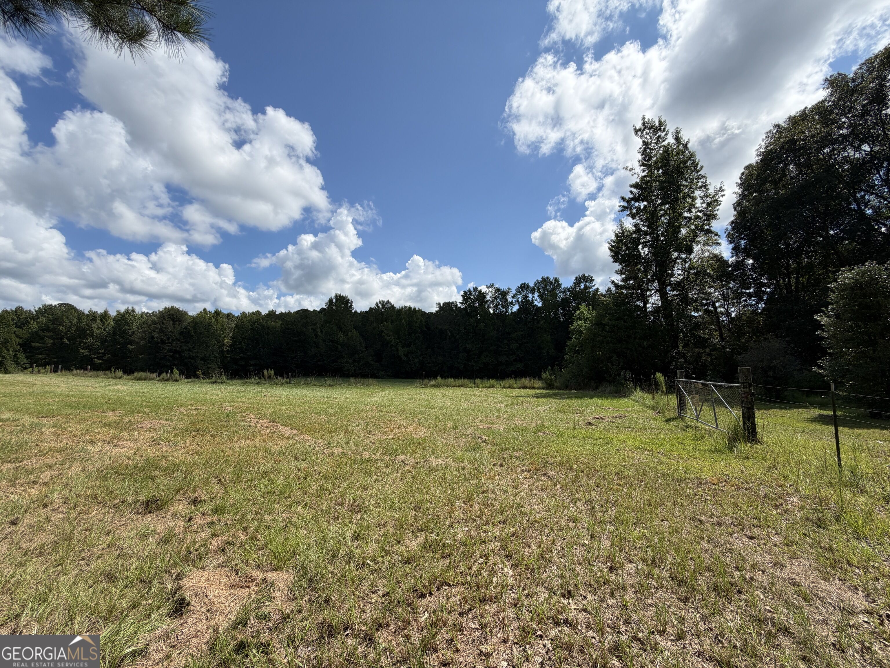 7.65-acres Baker Road Shiloh, GA 31826 - Photo 7 of 24 Gallery Image 7