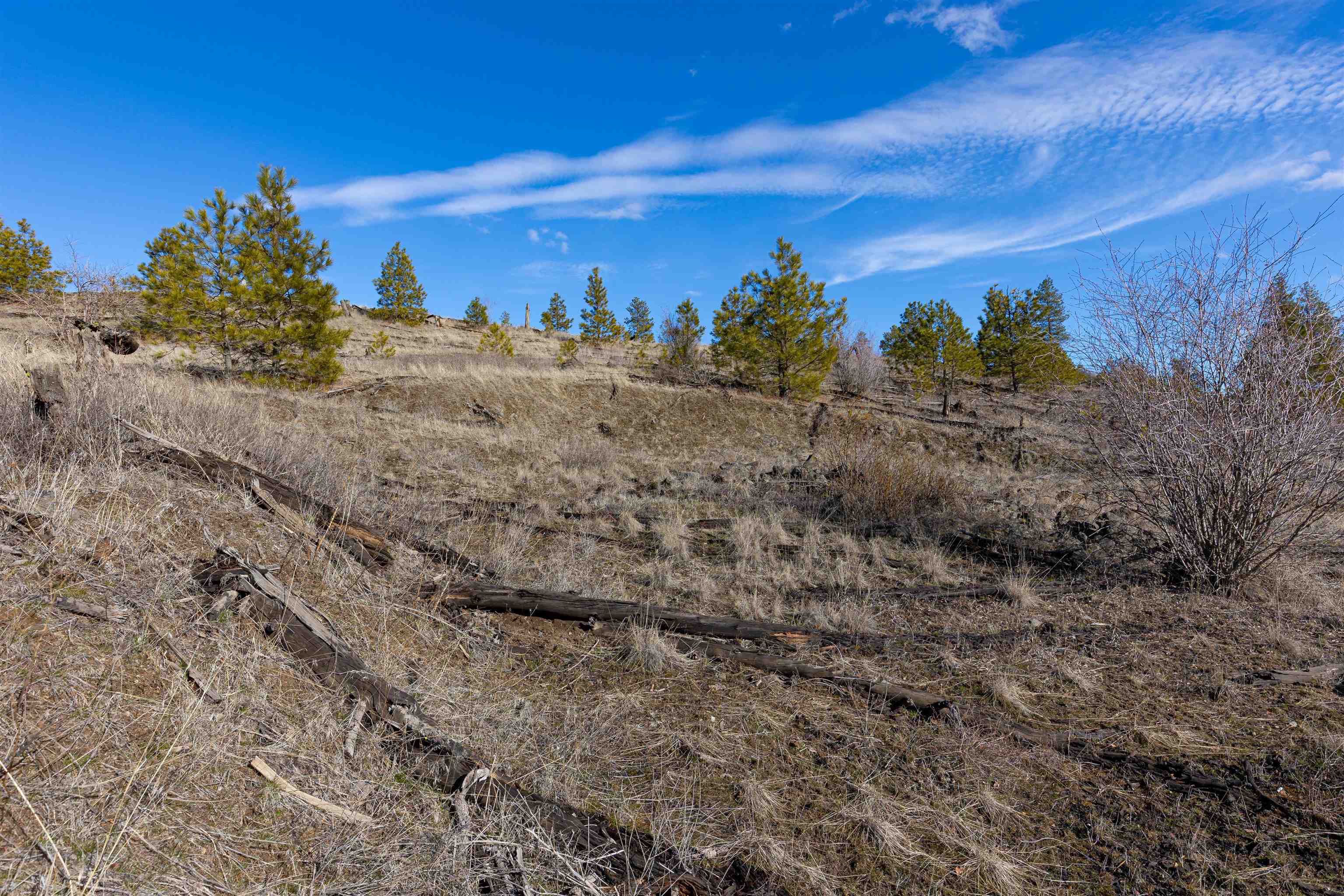 Nka North Gordon Road Spokane, WA 99224 - Photo 6 of 13