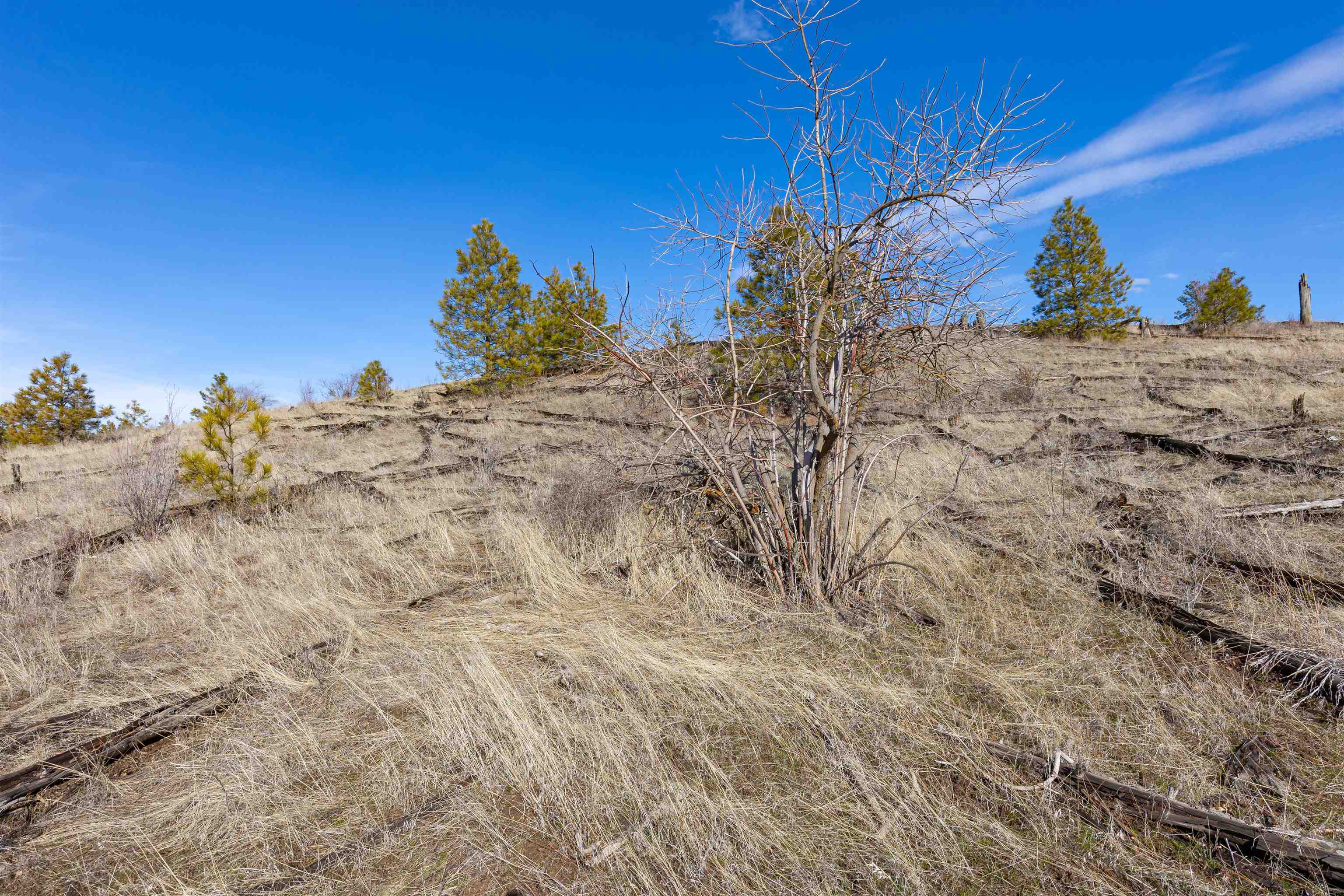 Nka North Gordon Road Spokane, WA 99224 - Photo 8 of 13