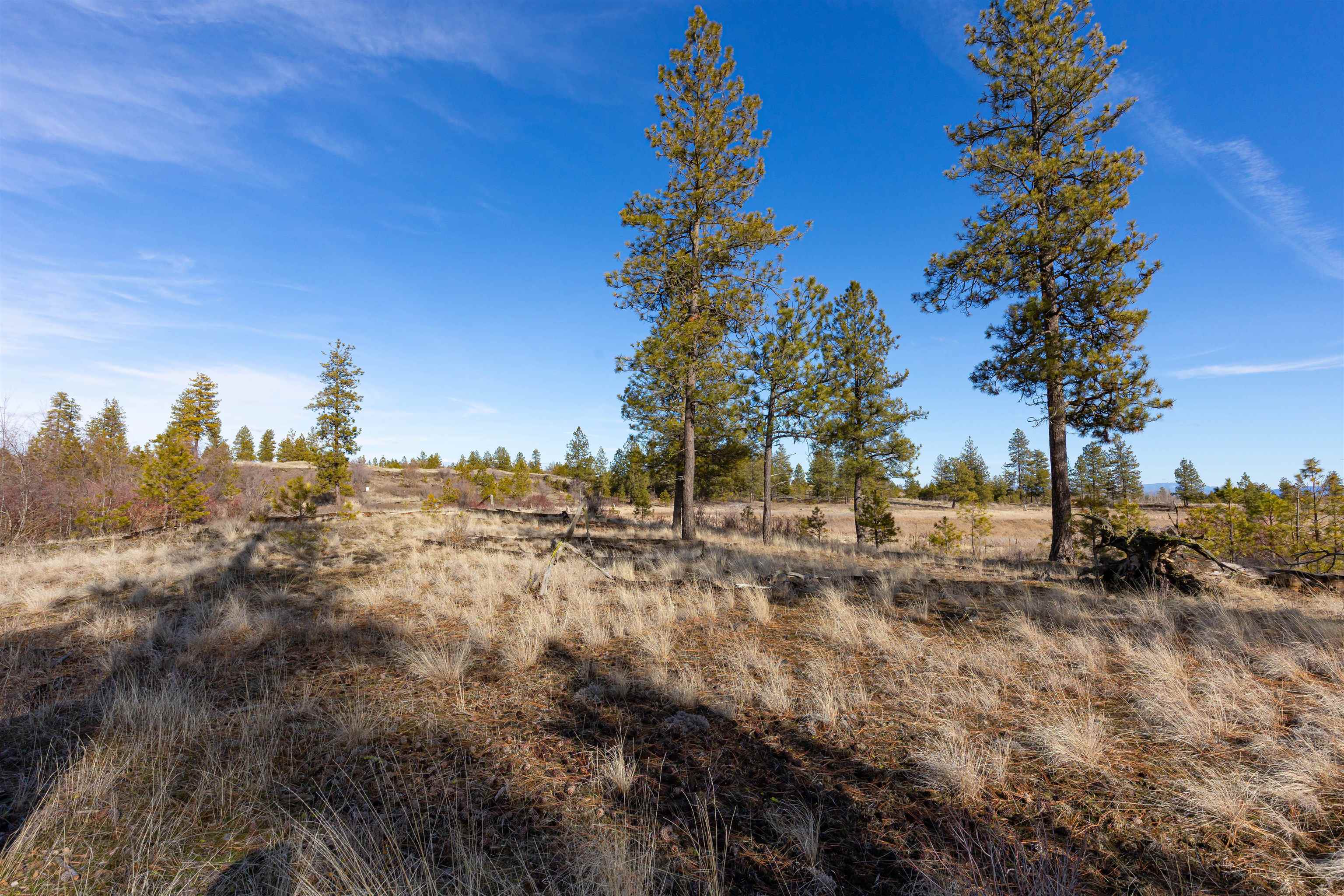 Nka North Gordon Road Spokane, WA 99224 - Photo 10 of 13