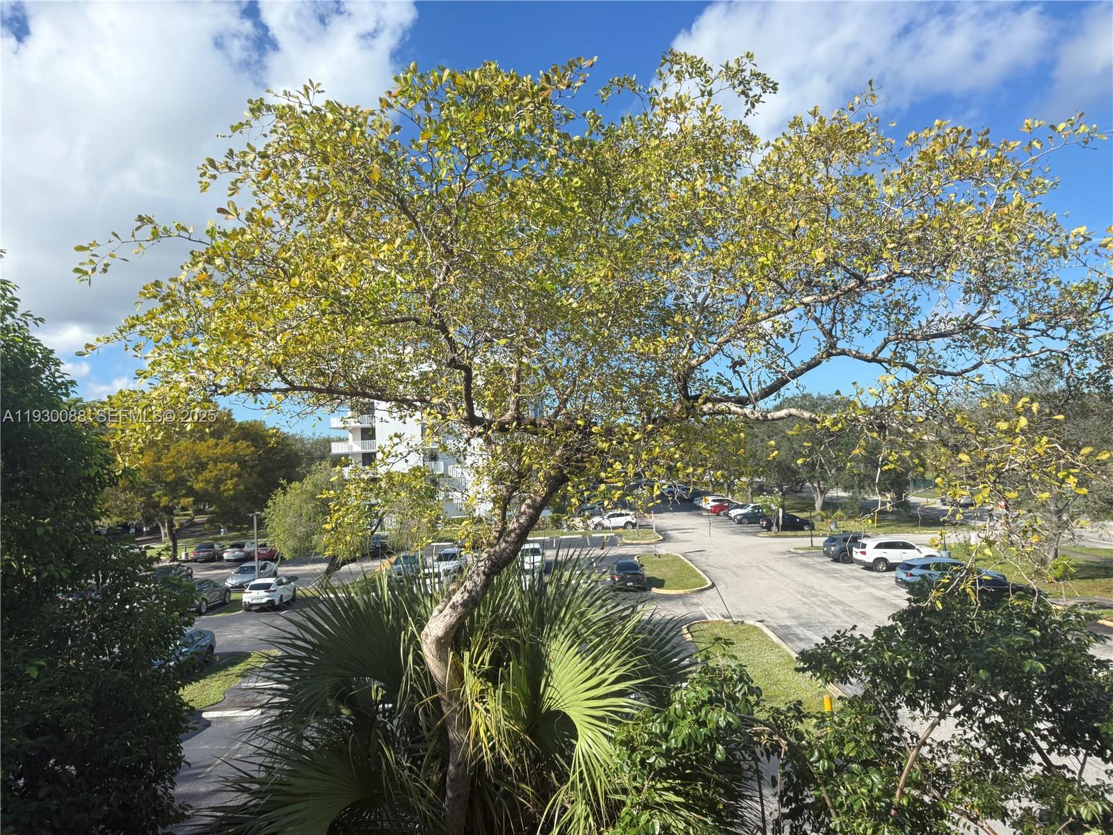 900 Tallwood Avenue, Unit 306 Hollywood, FL 33021 - Photo 10 of 30 a view of lake
