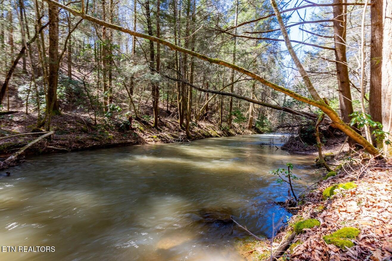 140 Luna Ln Spring Spring City, TN 37381 - Photo 2 of 60 y48