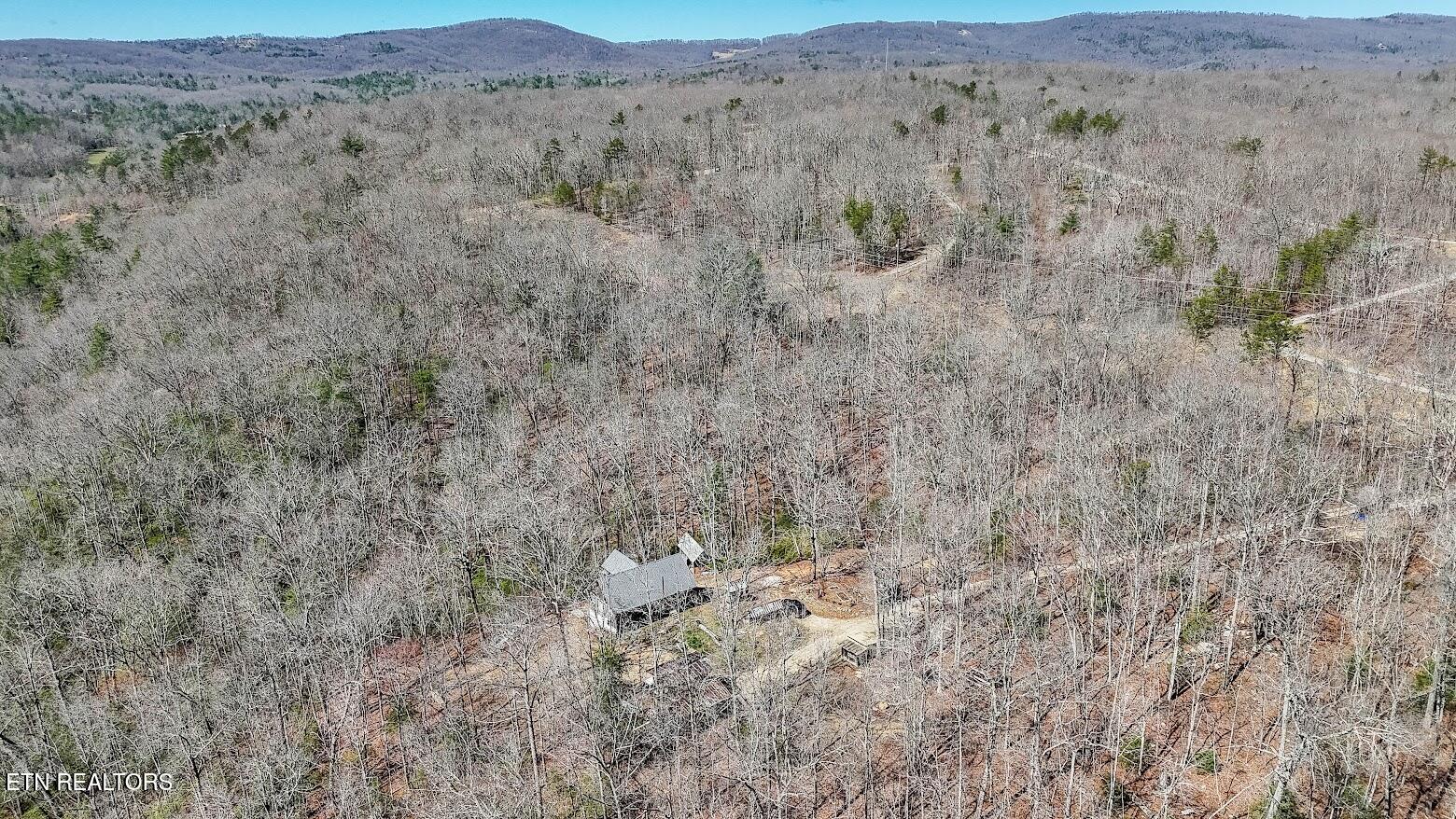 140 Luna Ln Spring Spring City, TN 37381 - Photo 3 of 60 y65