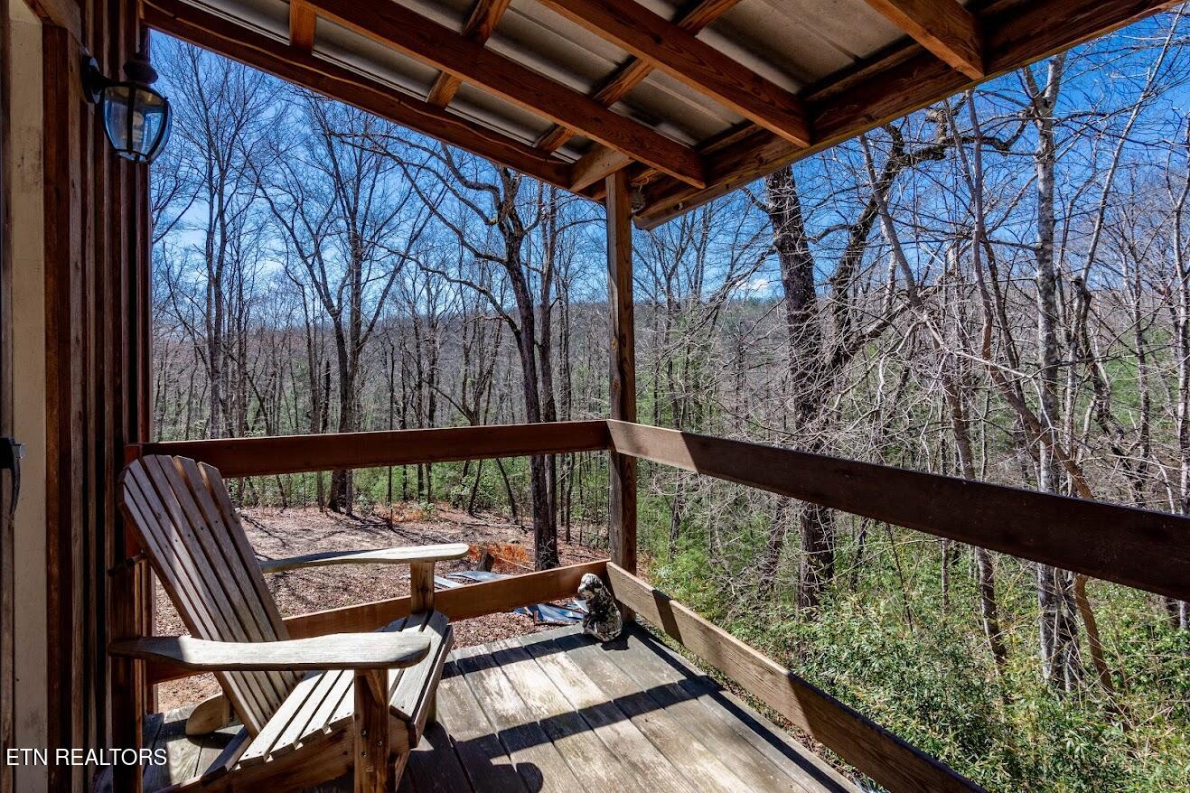 140 Luna Ln Spring Spring City, TN 37381 - Photo 31 of 59 y26