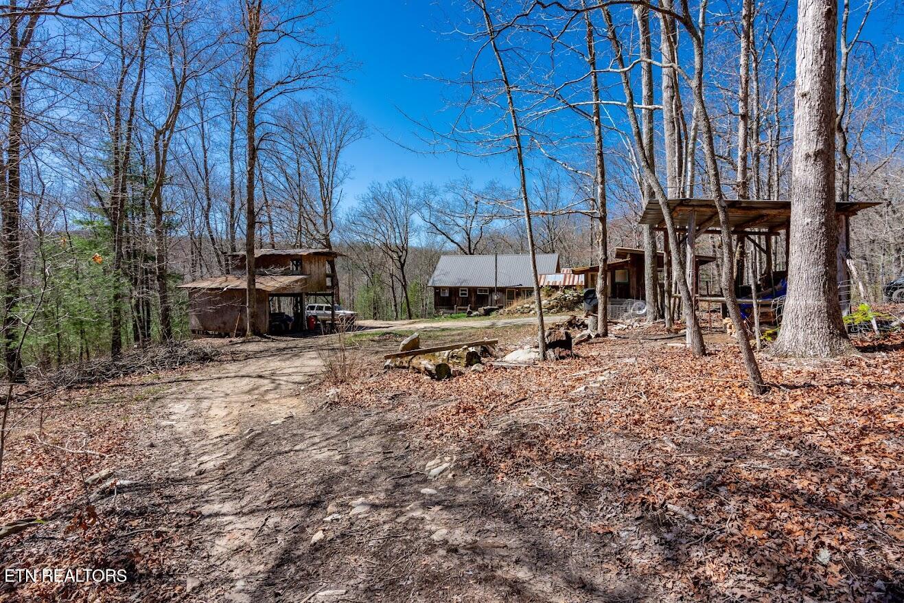 140 Luna Ln Spring Spring City, TN 37381 - Photo 41 of 59 y41