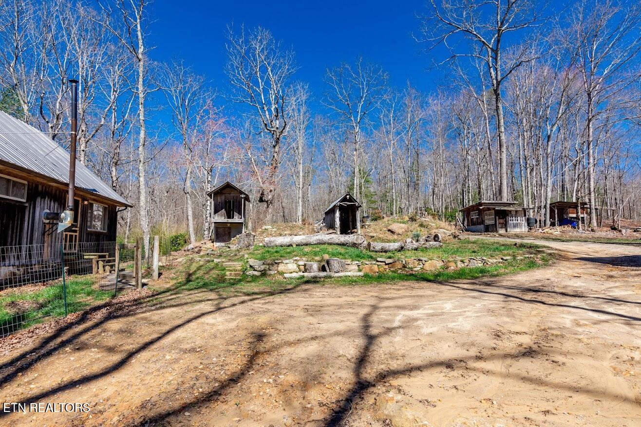 140 Luna Ln Spring Spring City, TN 37381 - Photo 43 of 60 y44