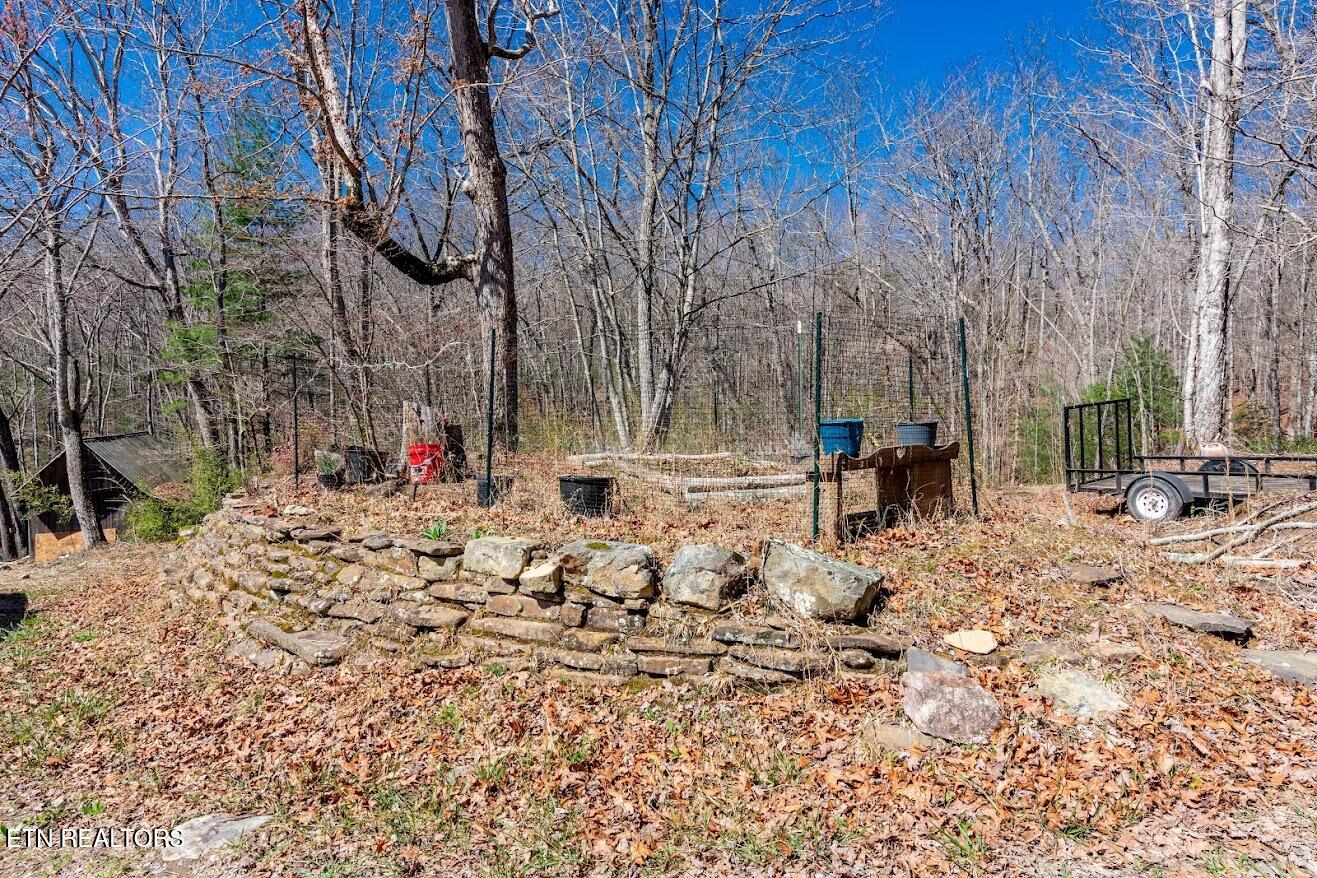 140 Luna Ln Spring Spring City, TN 37381 - Photo 44 of 60 y45