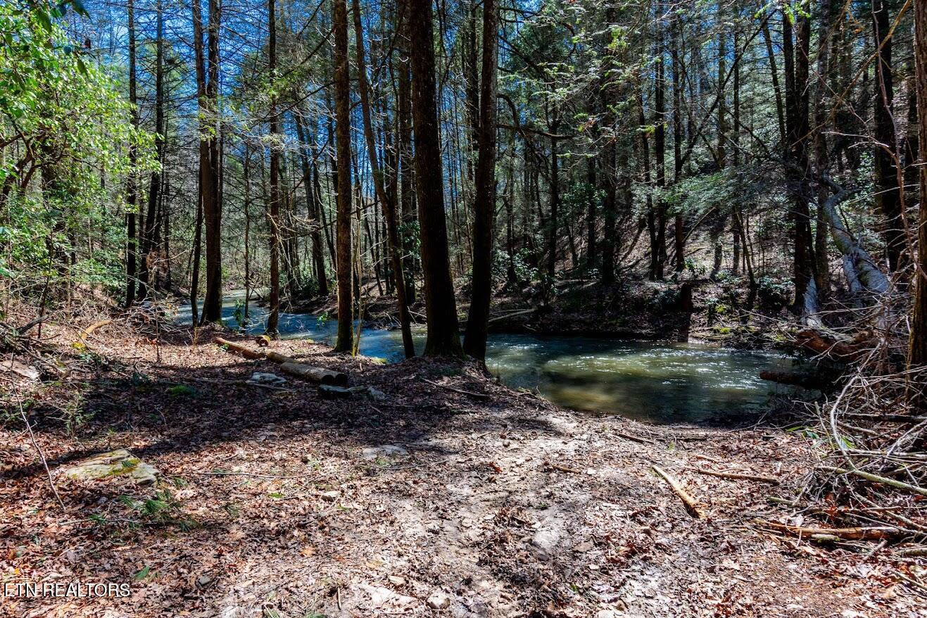 140 Luna Ln Spring Spring City, TN 37381 - Photo 45 of 60 y46